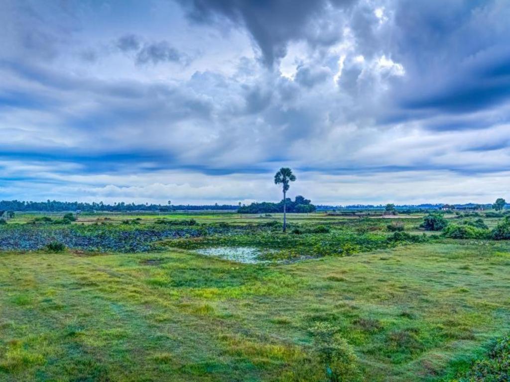 Ry'S Lotus Resort D'Angkor Сиемрип Экстерьер фото