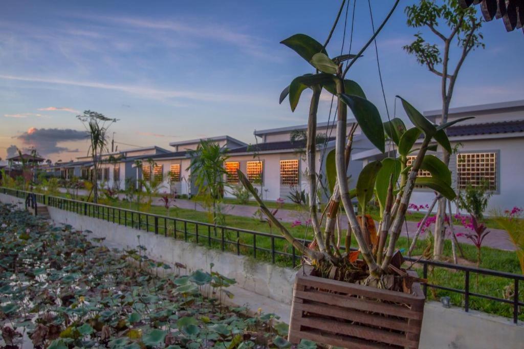 Ry'S Lotus Resort D'Angkor Сиемрип Экстерьер фото
