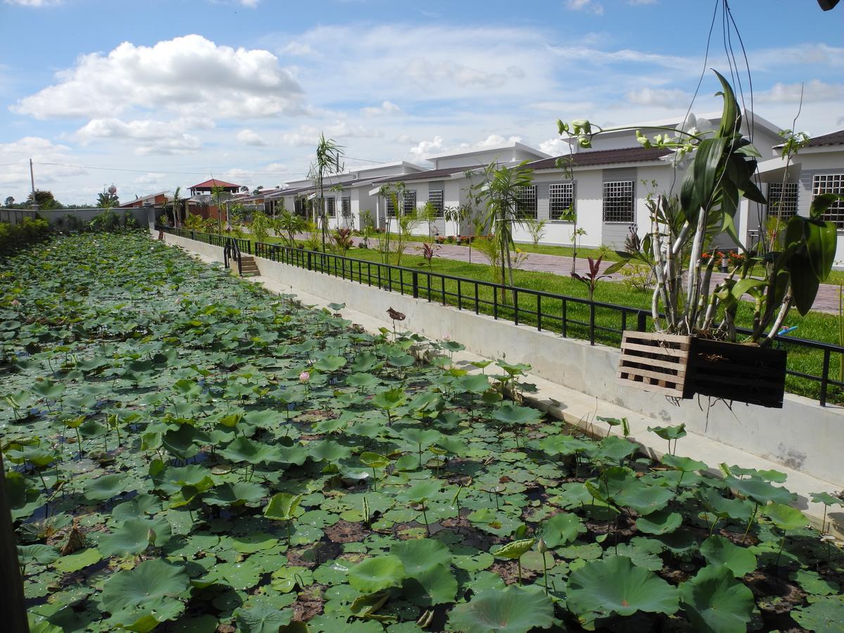 Ry'S Lotus Resort D'Angkor Сиемрип Экстерьер фото